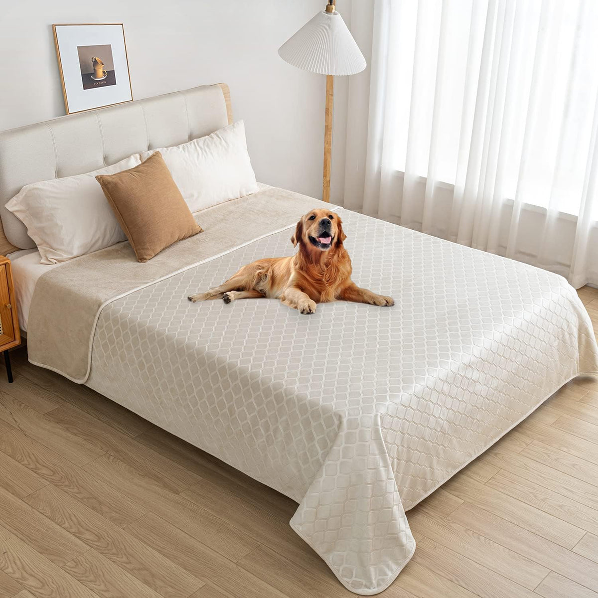 Waterproof Dog Blanket, Soft Reversible Throw for Couch & Bed Protection – Essentials for Dogs - Cream+beige / 40x60 Inch (Pack of 1) - image 4