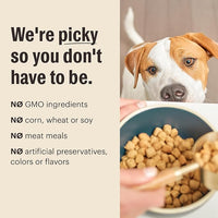 The Honest Kitchen Whole Food Clusters Small Breed Grain Free Beef Dry Dog Food, 4 lb Bag