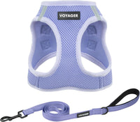 Best Pet Supplies Voyager Step-in Air All Weather Mesh Harness - Lavender / M (Chest: 16 - 18")