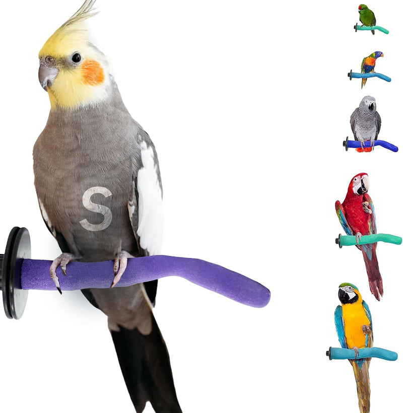 Sweet Feet and Beak Safety Pumice Bird Perch - Purple / Small 8"