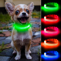 Light Up Collar for Small Dogs& Cats - XS (9.45-14inch / 24-35.5cm) / Green