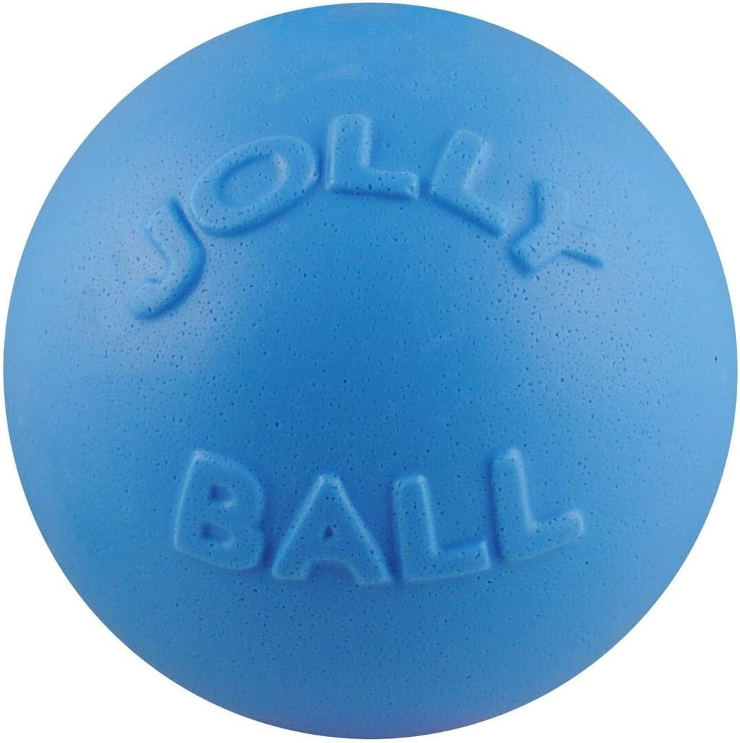 Jolly Pets Bounce-n-Play Dog Toy Ball - Blueberry / Large (8 in)