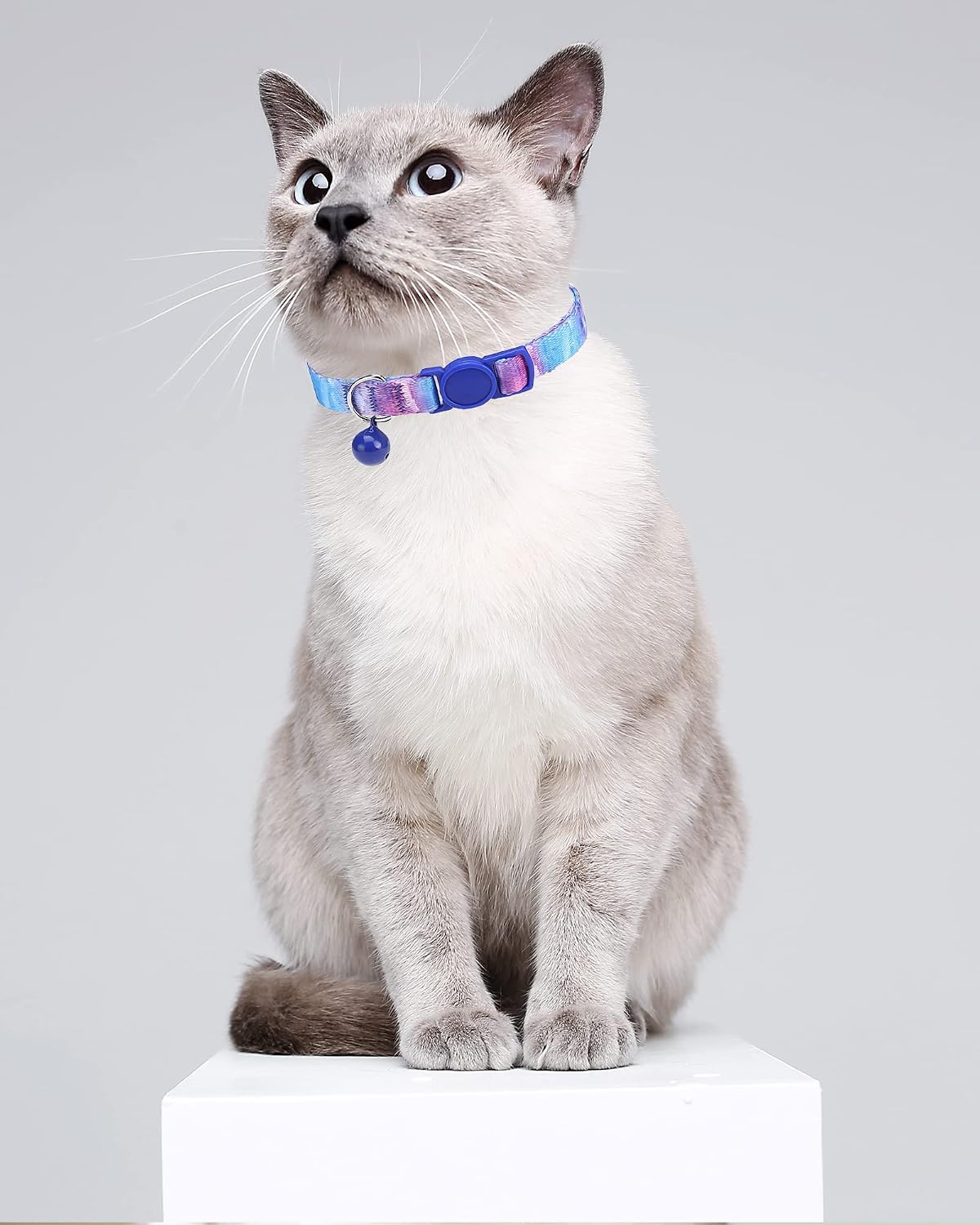 SOLMOONY Cute Cat Collar for Girl Boy - Starry Sky - image 3