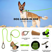 Slip Lead Dog Leash Reflective Training Durable Braided Rope Leashes – Essentials for Dogs - Light Green / 2PCS Large 1/2in x 6ft - image 2