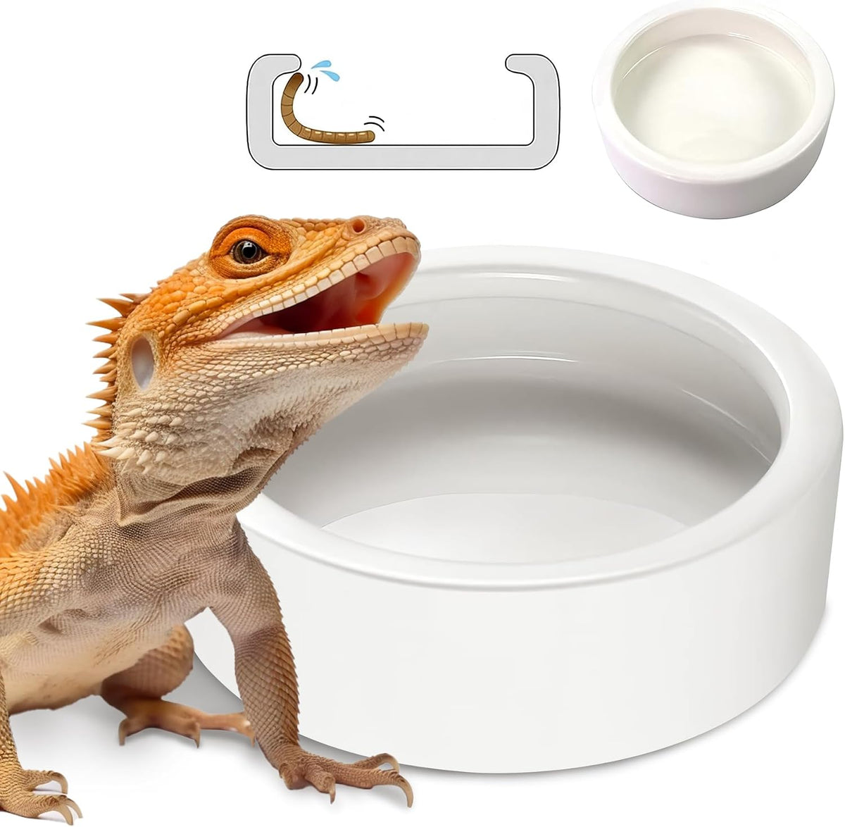 Reptile Food Dish Bowl 2Pcs Lizard Gecko Worm Water Bowls Small – Essentials for Reptiles And Amphibians - XLarge / White