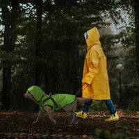 Dog Raincoat Waterproof Dog Hoodie Reflective Dog Raincoat Hooded - M / Green - image 3