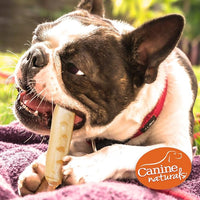 Canine Naturals Chicken Recipe Chew - Rawhide Free Dog Treats - Made from USA Raised Chicken - All-Natural and Easily Digestible - 5 Pack of 7 Inch Large Rolls for Dogs 50-75lb