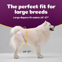 Inspire Pet Care Dog Diapers Female Dogs | Bulk Value Doggie Incontinence, Accidents, for Heat, Pee or Period and Housebreaking (Large (30 Count))