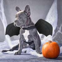 Dog Halloween Costume, Halloween Bat Wings for Dogs Cats - Large - image 3