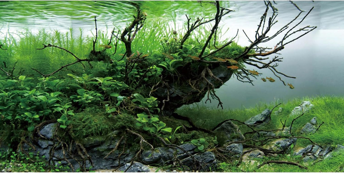 AWERT 48x24 in Branch Aquarium Backdrop Seagrass Fish Tank Background – Essentials for Fish - 48x24in/120x60cm