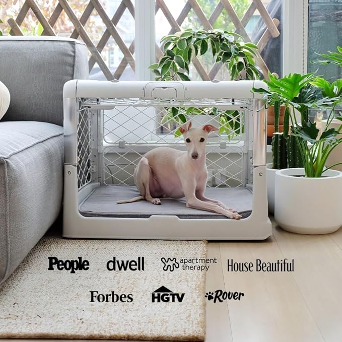 DIGGS Revol Collapsible Dog Crate with Wheels - Premium Portable Dog Crate - Safe, Stylish, and Convenient Indoor Kennel (Smoke, Medium)