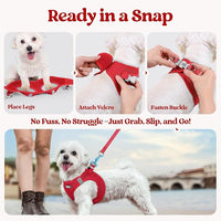 rabbitgoo Dog Harness Small Sized and Leash Set, Step in Soft Light Puppy Vest, Breathable Mesh Pet Harness, Reflective for Safe Easy Walking, Red S