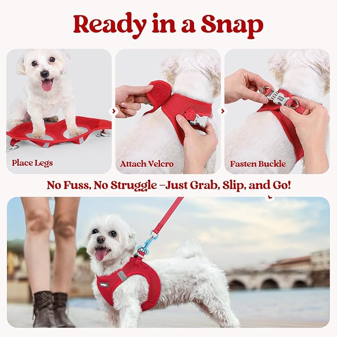rabbitgoo Dog Harness Small Sized and Leash Set, Step in Soft Light Puppy Vest, Breathable Mesh Pet Harness, Reflective for Safe Easy Walking, Red XS