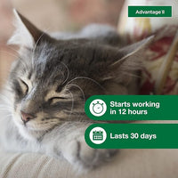 Advantage II Small Cat Vet-Recommended Flea Treatment & Prevention | Cats 5-9 lbs. | 3-Month Supply