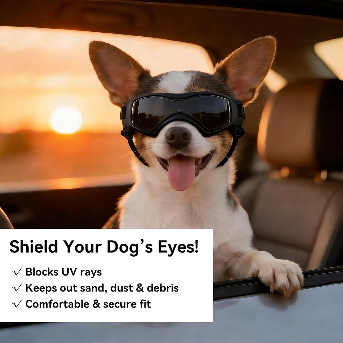 Dog Sunglasses for Extra Small Breed UV Protection Windproof XS Dog - X-Small / Black - image 3