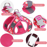 Step in Dog Harness and Leash Set, Pet Vest Harness - strawberry / S - image 3