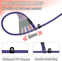 FOVRLZSE 5-Pack Dog Slip Leashes 4.6FT Nylon Training Lead - Classic Hue - image 4