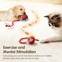 Interactive Cat Toys Ball, Newly Upgraded Automatic with Elastic Tail Rope and USB Charging. Stimulates Hunting Instincts and Promotes Exercise. Interactive Cat Toys for Bored Indoor Adult Cats