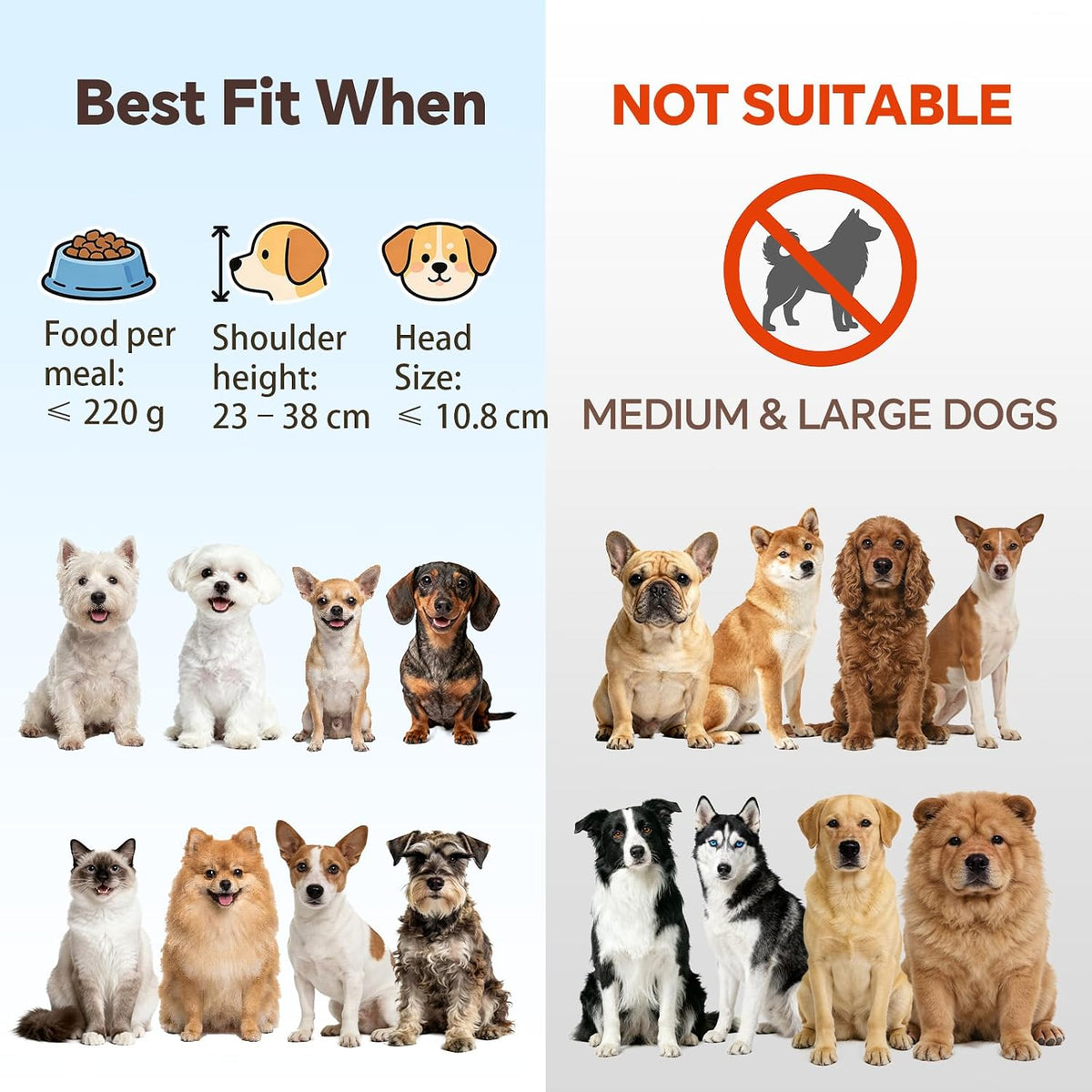Small Glass Tilted Elevated Cat Dog Bowl Raised Cat Food Water Bowl - Small / White - image 3