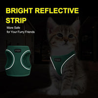 Fida Cat Harness and Leash Set for Walking Kitten and Puppy - XS (Neck:12.2"-13"; Girth:14.2"-16.1") / Turquoise - image 4