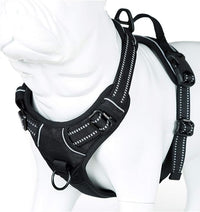 Truelove No Pull Dog Harness with Easy Control Handle and 2 Leash Attachments,Reflective Adjustable Pet Vest