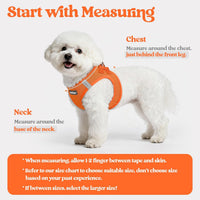 rabbitgoo Dog Harness Small Sized and Leash Set - Orange / L (chest: 18.2 - 20.5") - image 2
