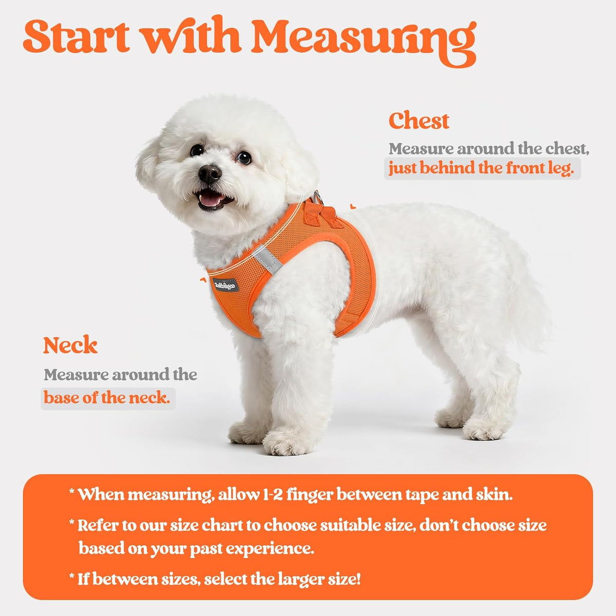 rabbitgoo Dog Harness Small Sized and Leash Set - Orange / L (chest: 18.2 - 20.5") - image 2