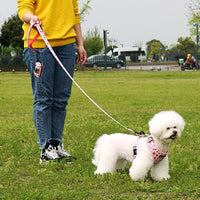 Dog Harness and Leash Set, Adjustable Dog Harness, Dog Leash - Watermelon / S(Chest 13 - 19", Neck 9.5 - 13.1") - image 3