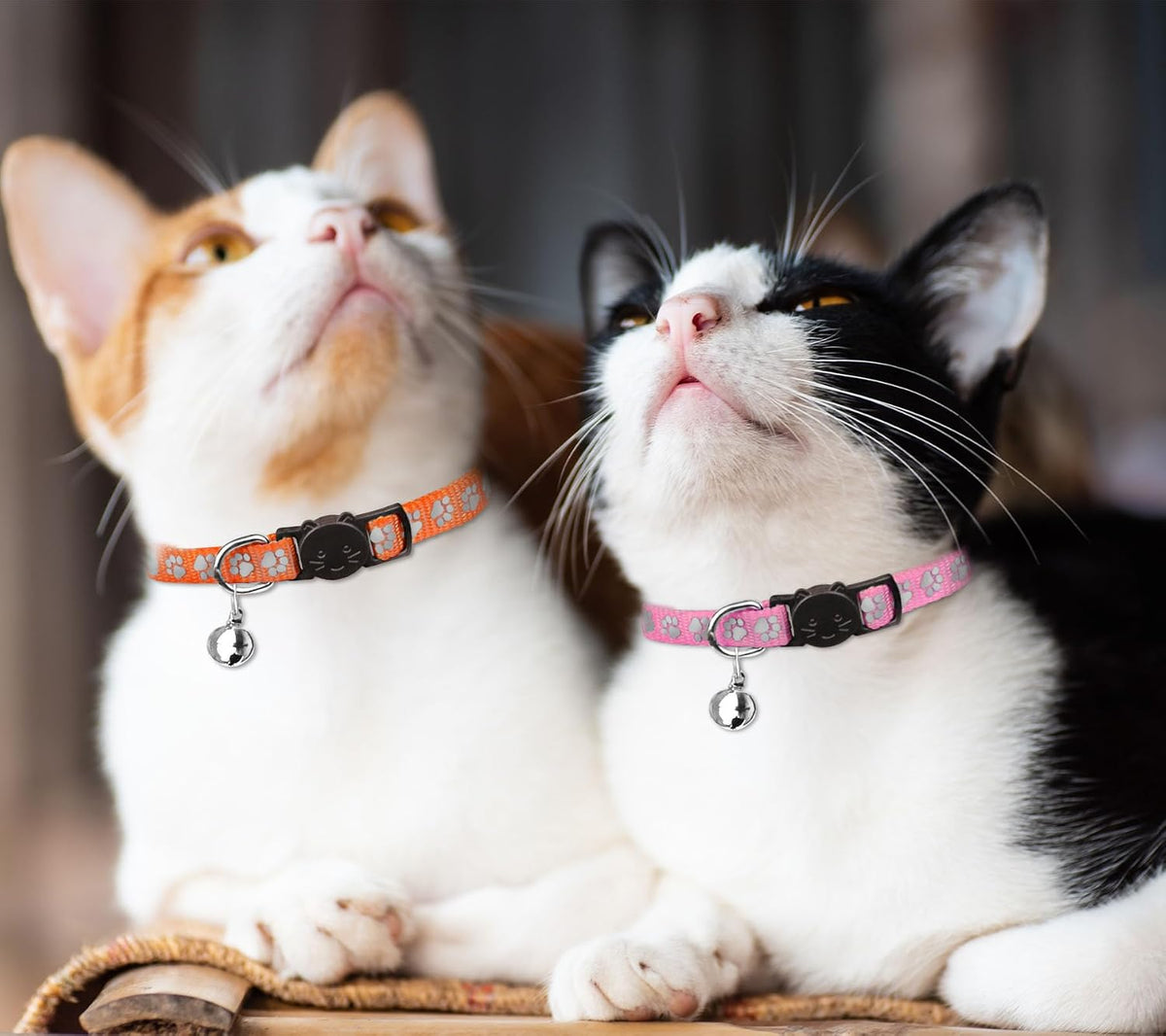 16 PCS Breakaway Cat Collars with Bells Reflective Cat Collar Safety - Standard(7.5" - 12.6") - image 4