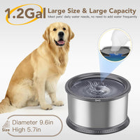 6.5L Stainless Steel Dog Water Bowl - Grey / 4.5L - image 2