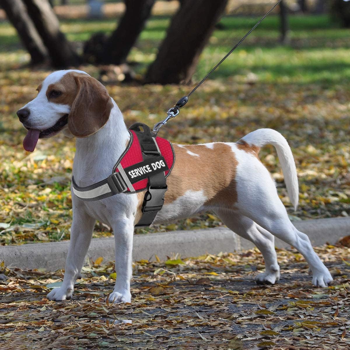 JSXD Dog Harness,No-Pull Service Dog Harness with Handle Adjustable Outdoor Pet Dog Vest 3M - XXL / Red - image 2