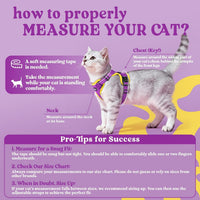 rabbitgoo Cat Harness and Leash Set, Escape Proof Vest - S / Purple & Yellow - image 2