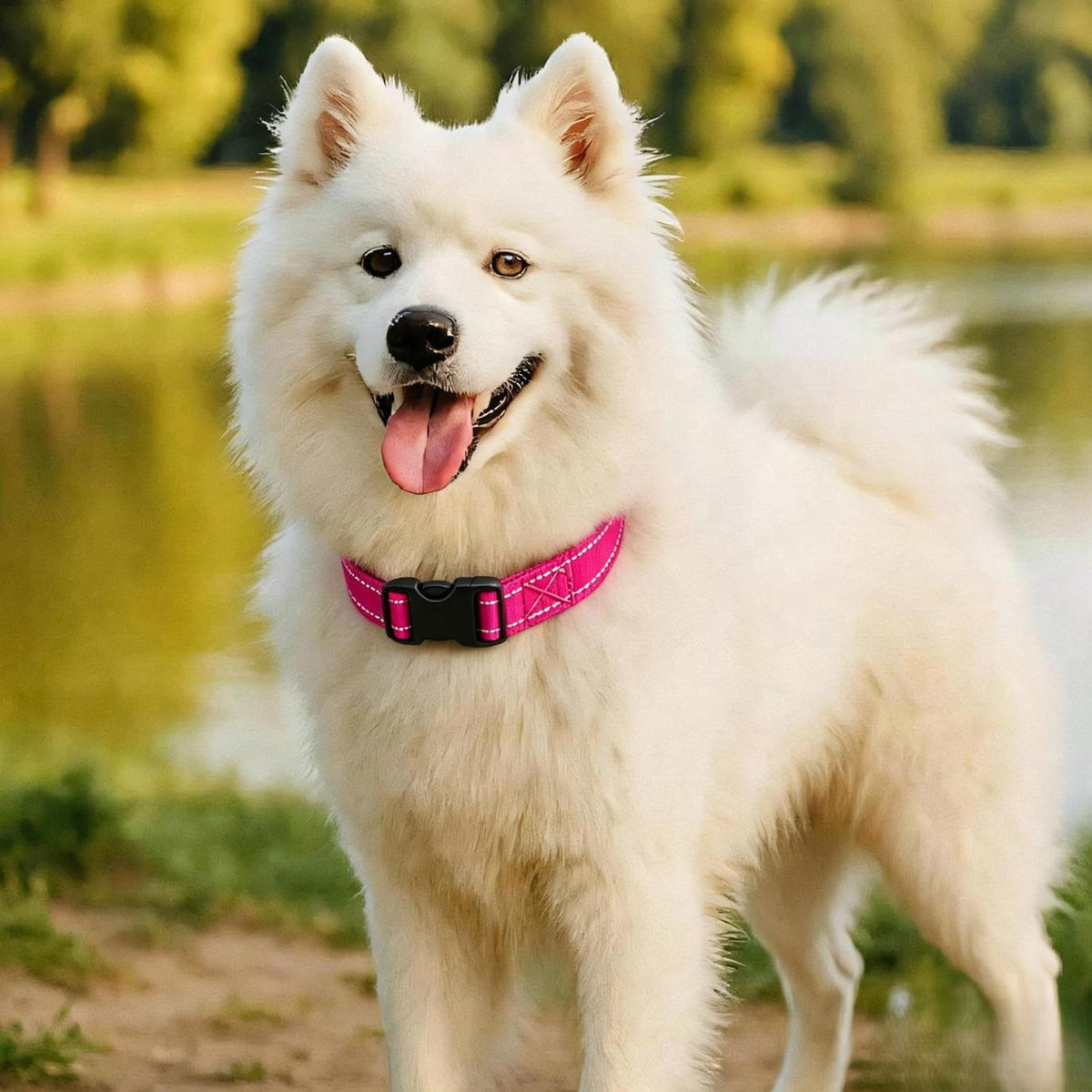 Dog Collar for Small Medium Dogs with Buckle - Deep Pink / Small - image 3