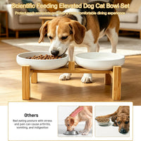 Ceramic Cat Bowls, Shallow Cat Dishes for Food and Water - White elevated - image 3