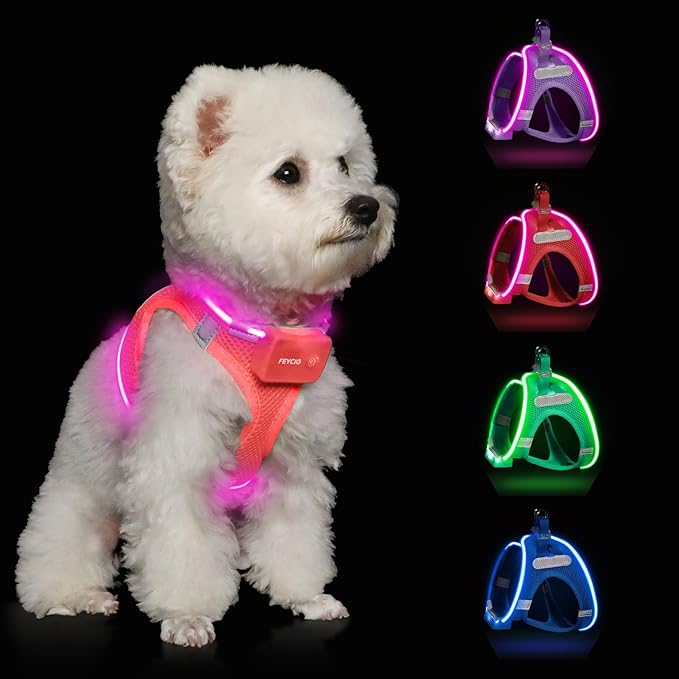 Light Up Dog Harness,Rechargeable LED Dog Harness for Small Medium Large Dogs,Reflective Lighted Safety Vest for Night Walking & Camping,Lightweight & Adjustable,Fluorescent Pink,M