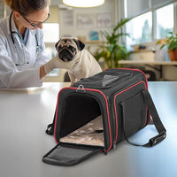 Petsfit Expandable Dog Carrier Large Cat Carrier, Soft-Sided Portable Collapsible Pet Travel Carrier for Kittens, Puppies or Small Animals, 19 x12x12 Inches, Black
