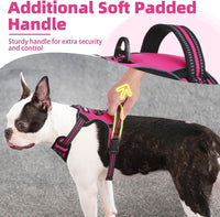 PUPTECK No Pull Halloween Dog Harness for Large - Fuschia / X-Large / Harness Only - image 2