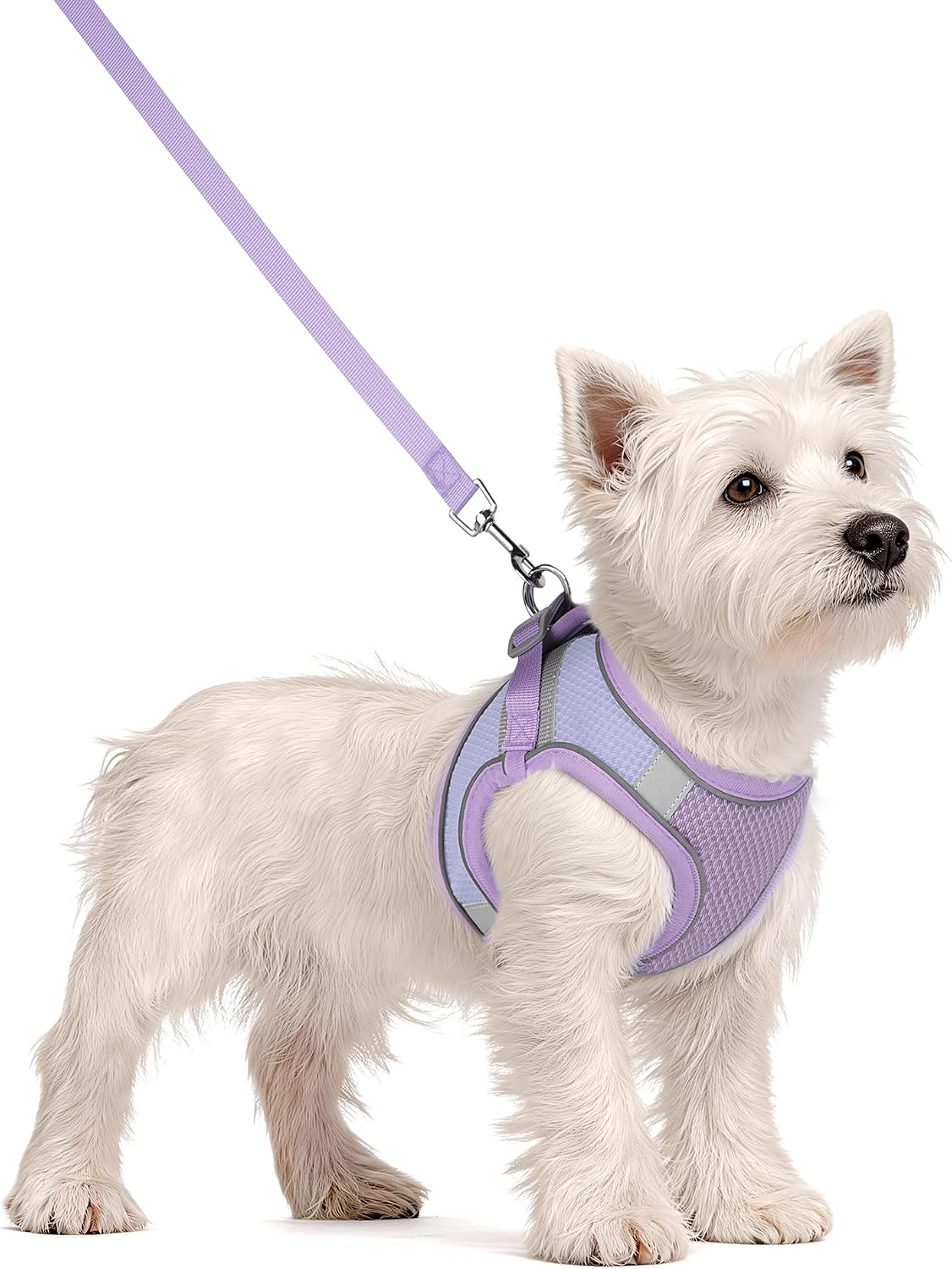 Solmoony Dog Harness, No Pull, Mesh for Small Medium Dogs - Purple / XS - image 2