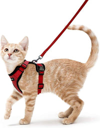 rabbitgoo Cat Harness and Leash Set, Escape Proof Vest - S / Red