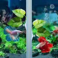 CousDUoBe 2 Pack Betta Fish Leaf Pad Improves Betta's Health - 1 Pack - image 2