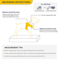 Dog Harness and Leash Set, Adjustable Dog Harness, Dog Leash - Peach / L(Chest 18.5 - 27.1", Neck 14.5 - 20.1") - image 3