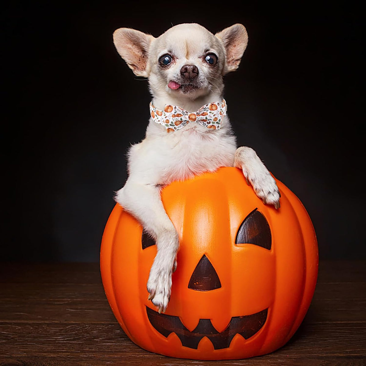 Green Dog Collar with Bow Tie, Christmas Bowtie Dog Collar M – Essentials for Dogs - XL / B-White Pumpkin - image 3