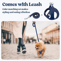 rabbitgoo Dog Harness Small Sized and Leash Set, Step in Soft Light Puppy Vest, Breathable Mesh Pet Harness, Reflective for Safe Outdoor Walking, Navy Blue M