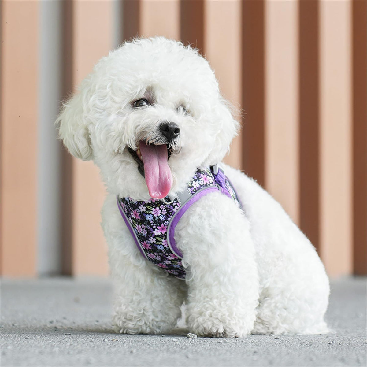 Step in Dog Harness No Pull Flower Adjustable Soft Mesh Harness – Essentials for Dogs - XS(neck:9.5"-10.5",chest:11.5"-13.5") / Purple - image 3