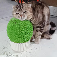 Cat Face Scratcher Wall Corner Massage Comb, Self Grooming Brush – Essentials for Cats - green