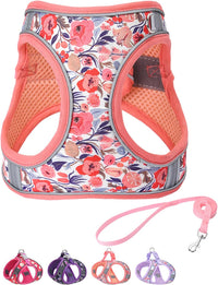 Step in Dog Harness and Leash Set, Pet Vest Harness - Pink / S