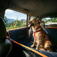 Luxury Dog Car Seat Cover for Back Seat Breathable Mesh Window Dog - Standard / BLACK - image 2