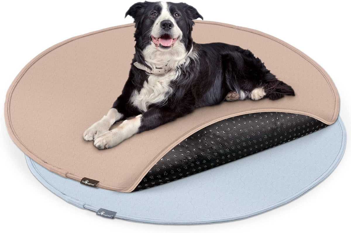 Paw Inspired Round Washable Pee Pads for Dogs - 48" (2 pack)