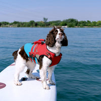 Kuoser Dog Life Jacket with Rescue Handle - X-large (Chest Girth:25.9-33.4'') / Red & Navy - image 2