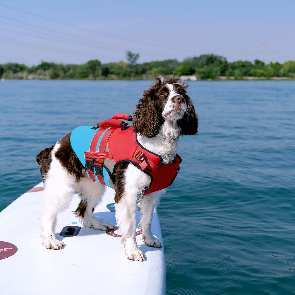 Kuoser Dog Life Jacket with Rescue Handle - X-large (Chest Girth:25.9-33.4'') / Red & Navy - image 2